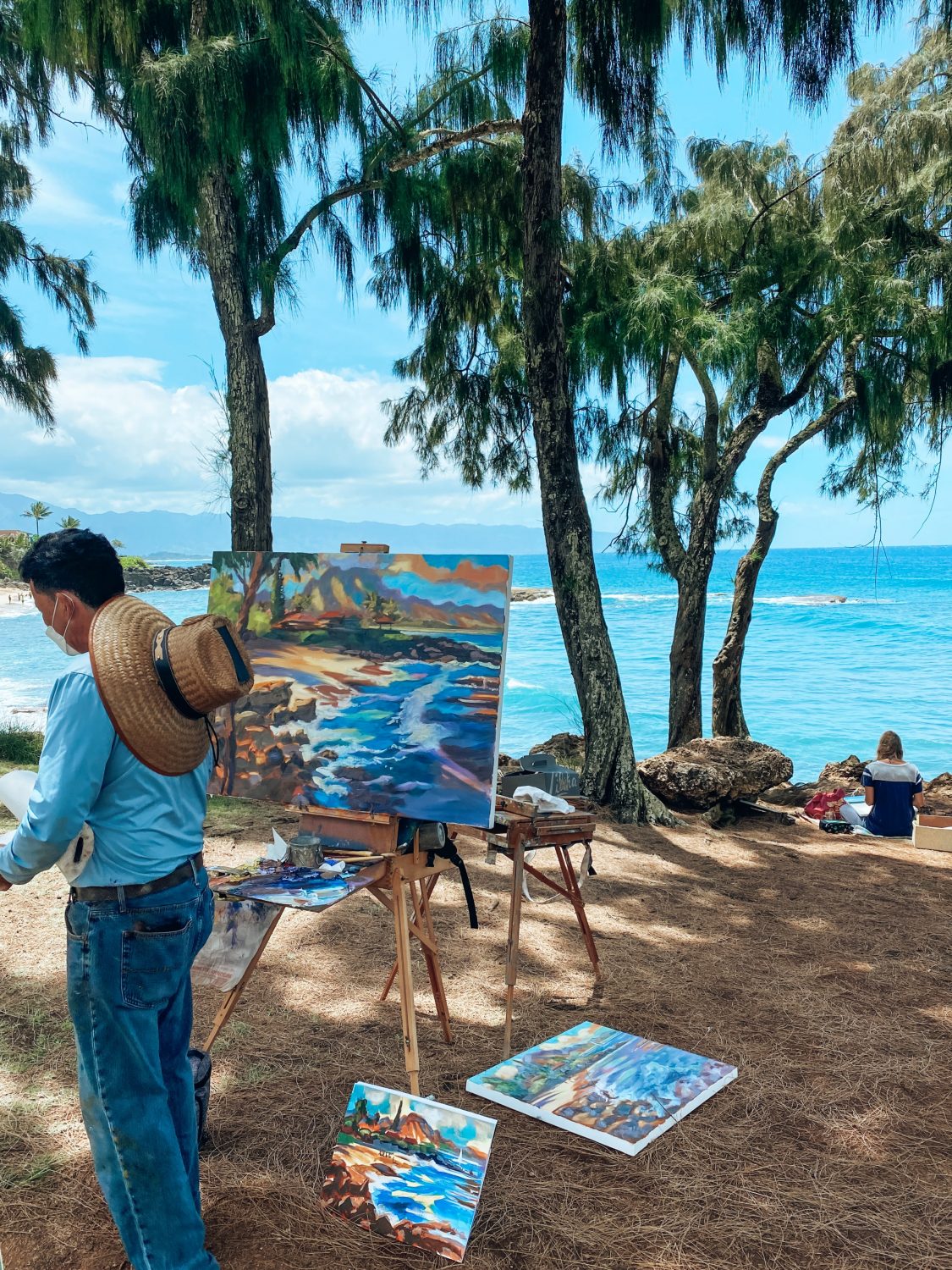 schilderkunst hawai