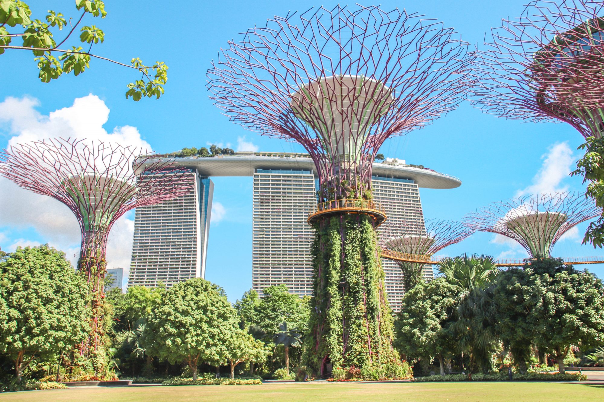 Gardens By the Bay