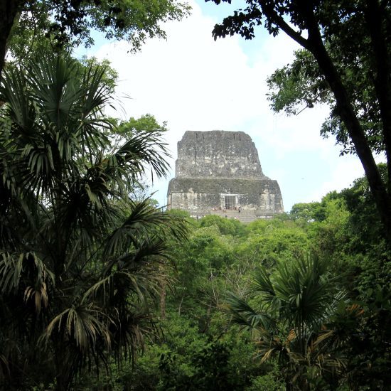 tikal maya tempel uitzicht