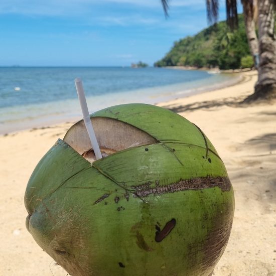 alito beach kokosnoot