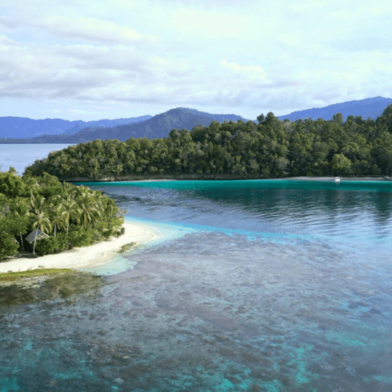 Raja Ampat reisgids