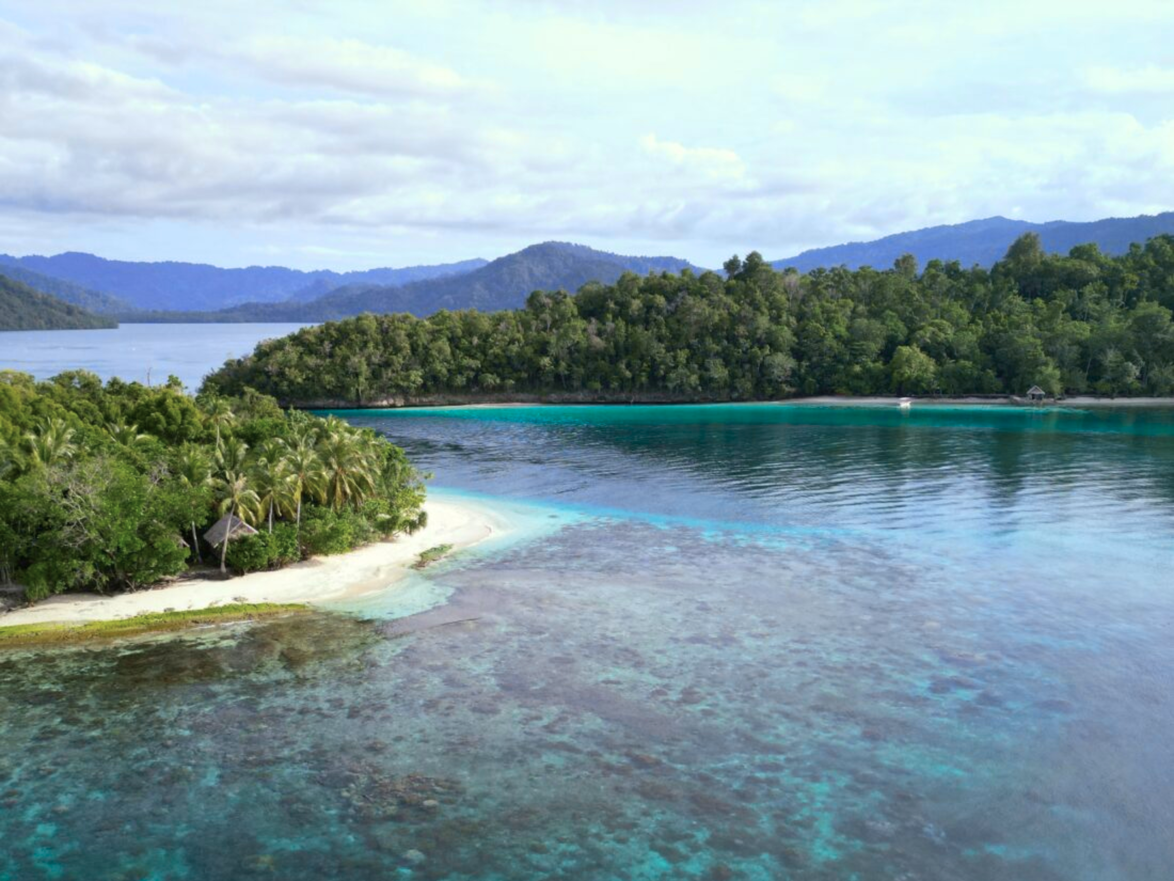 Raja Ampat reisgids