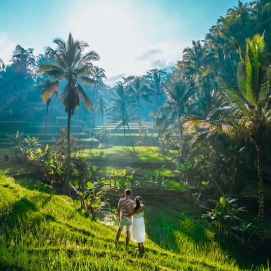 rijstveld Bali