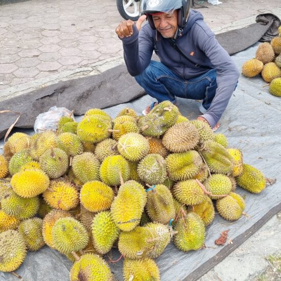 durian fruit kei eilanden