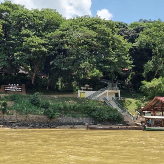 Mutiara Resort Taman Negara tembeling rivier