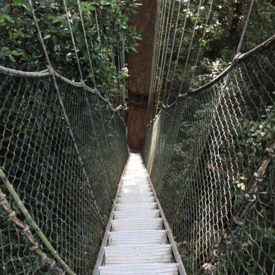 Taman Negara hangbrug