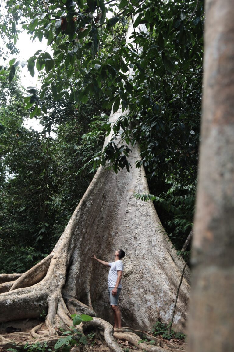 Taman Negara jungle boom