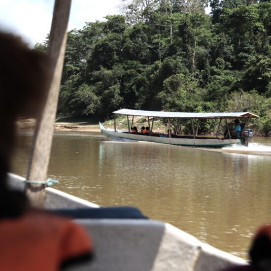 Taman Negara jungle boot