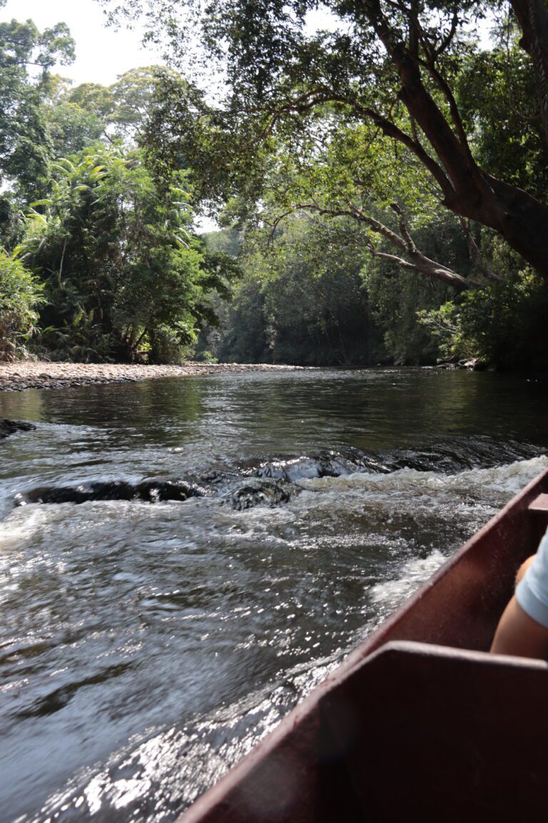 Tembeling River, Taman Negara