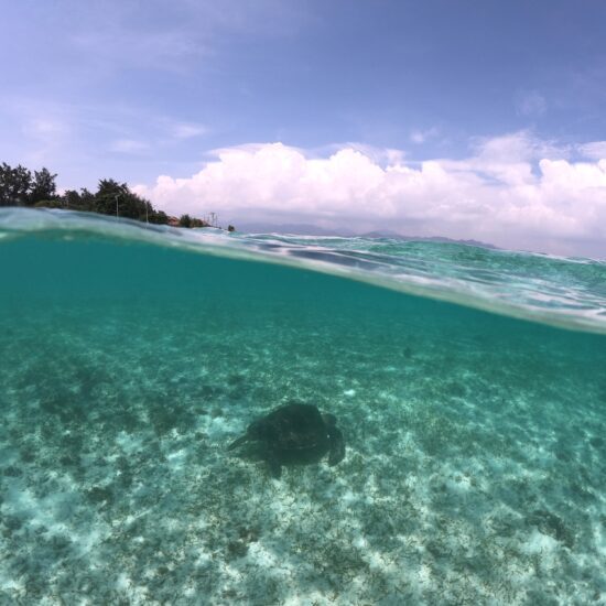 snorkelen met schildpadden Gili Meno