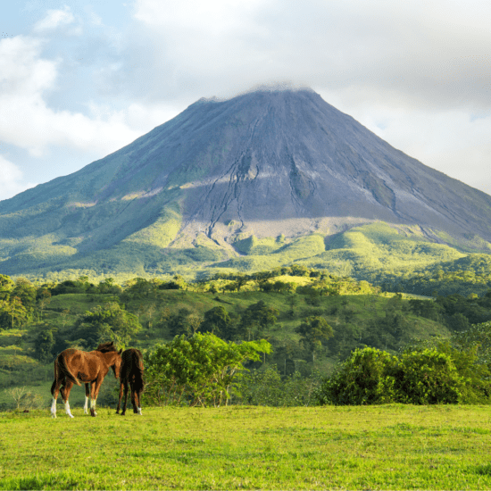 beste reistijd Costa Rica