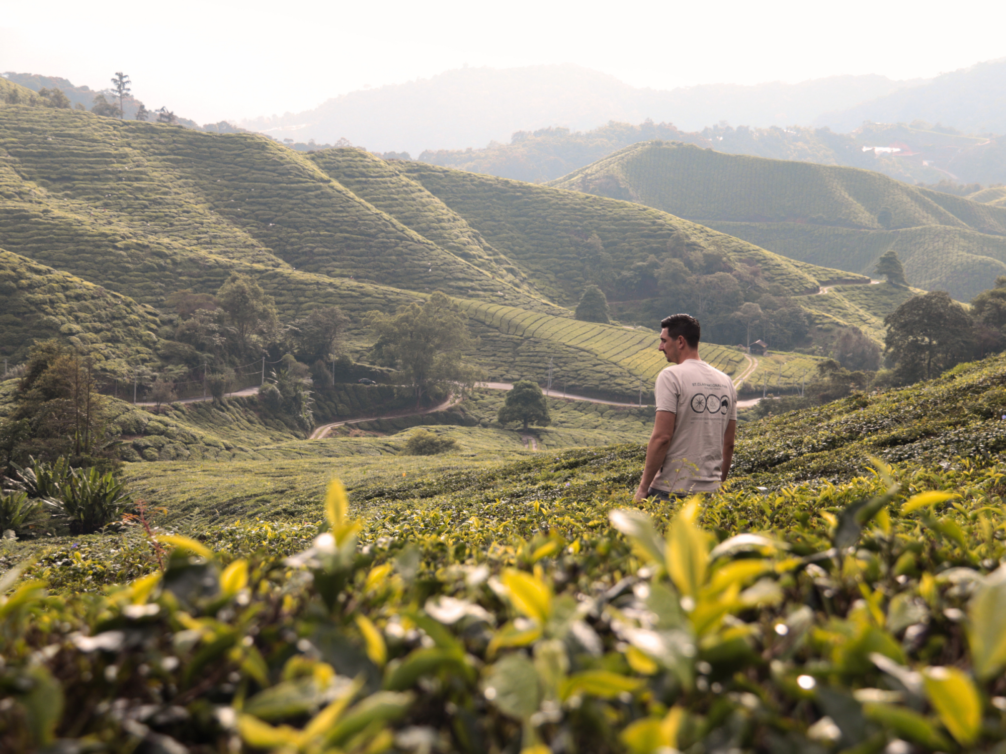 Cameron Highlands Maleisië