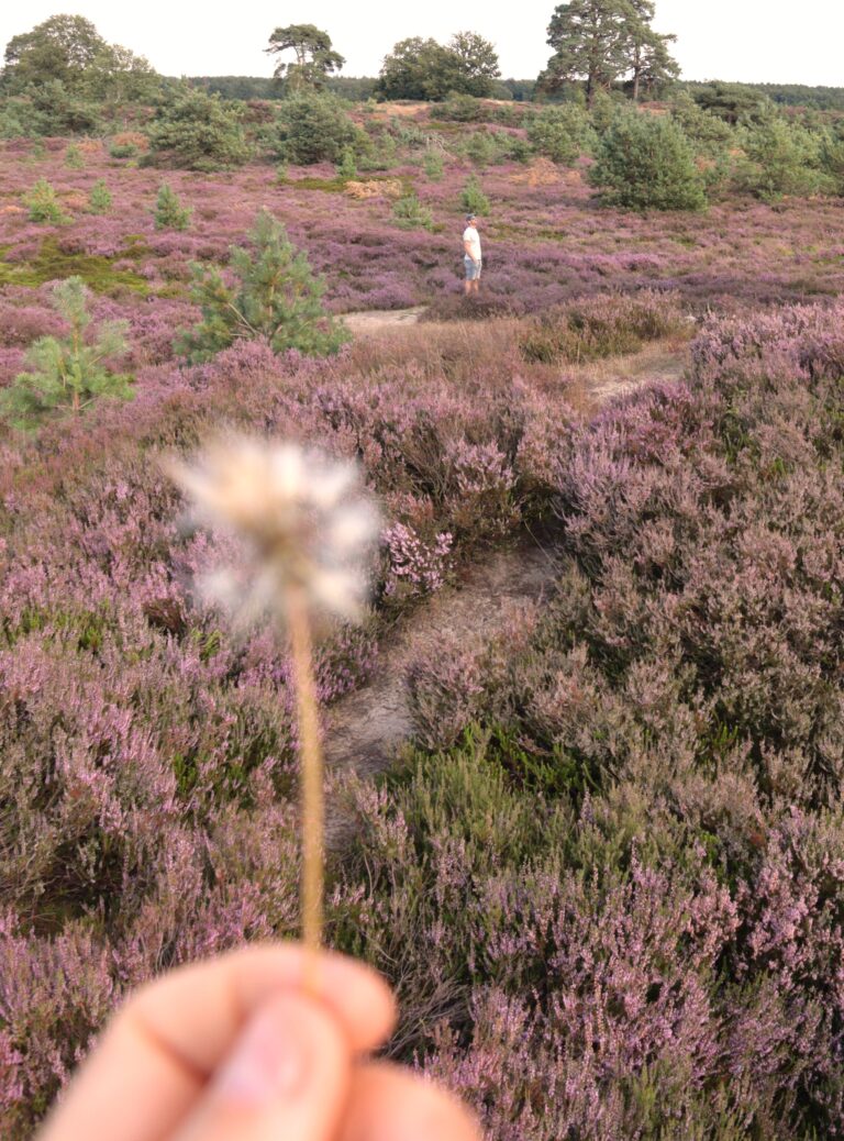 aekingerveld fotoshoot