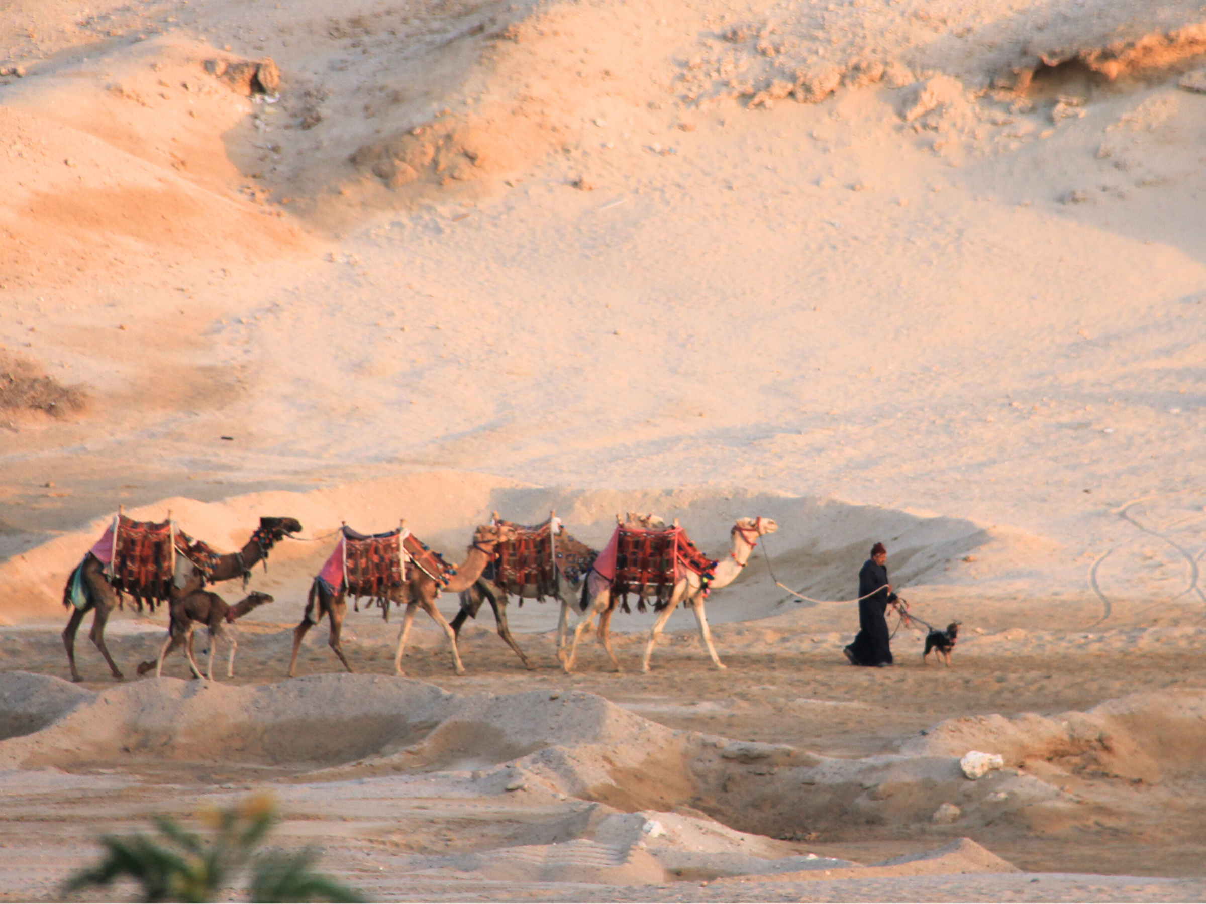 marsa alam egypte