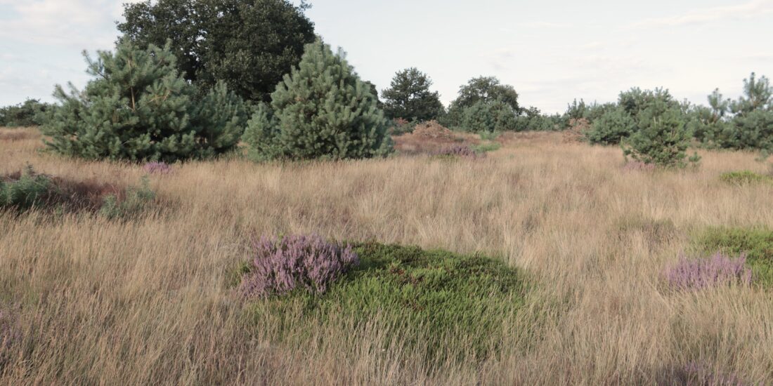 uitzicht aekingerzand drenthe