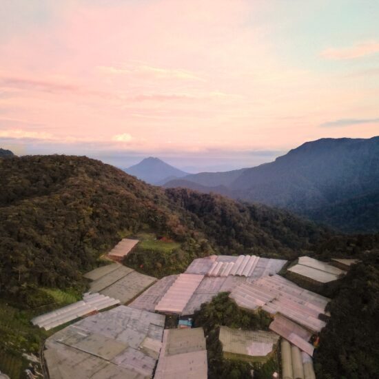 cameron Highlands uitzicht