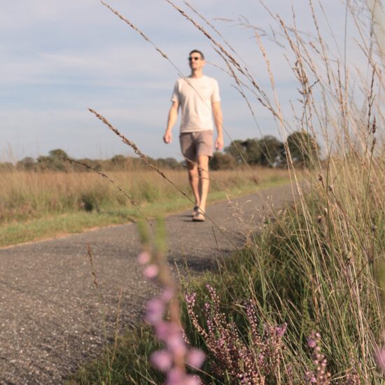 Doldersummerveld wandelen heide