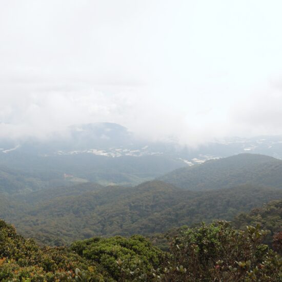 Uitzicht Mossy Forrest Cameron Highlands