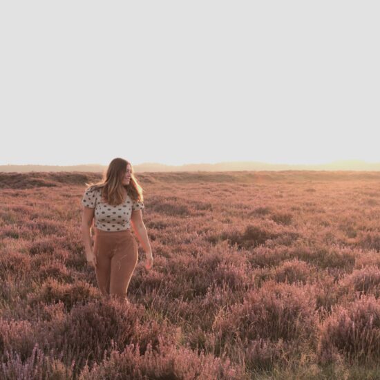 heide Doldersum, natuurreservaat