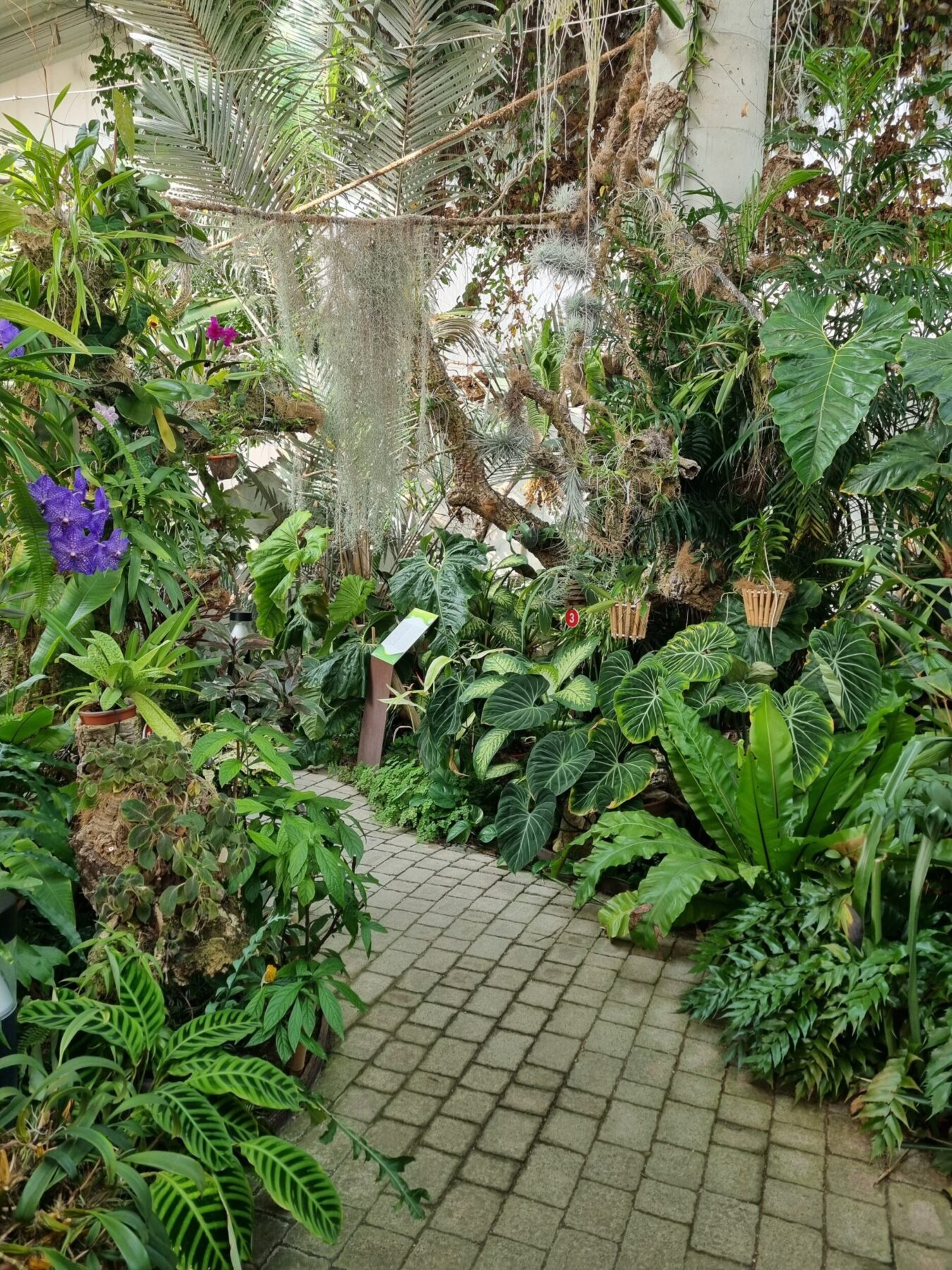 Estepona Orchid House