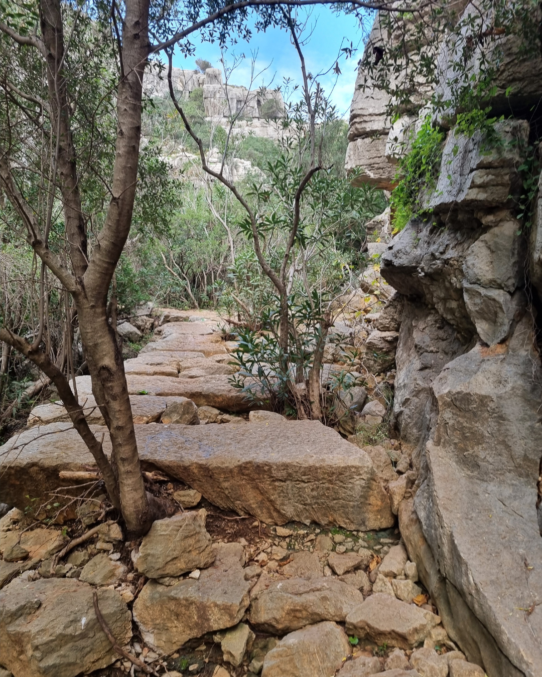 canyon hike manilva