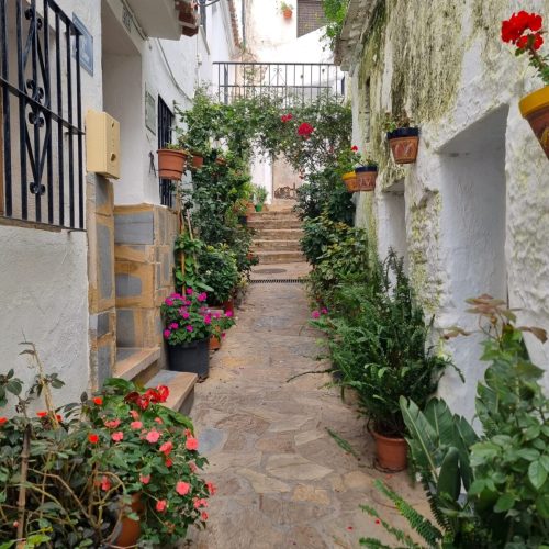 Casares straat bloemen