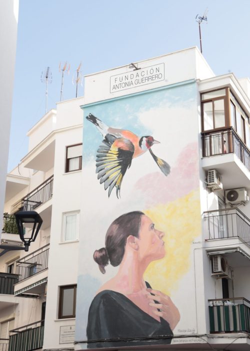 Ruta de los Murales Artisticos Estepona