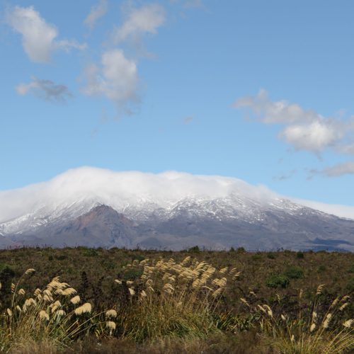 Tongariro NP Nieuw-Zeeland
