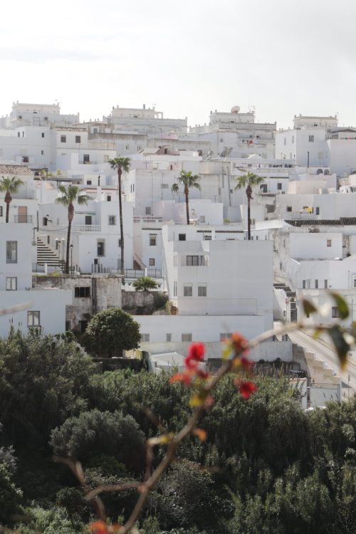 vejer uitkijkputn rode bloemen