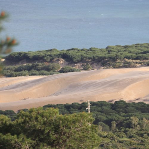 zandduinen bolonia beach